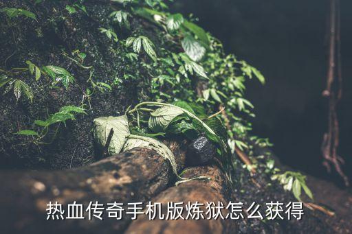 热血传奇手机版炼狱怎么获得