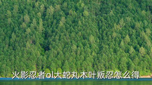 火影忍者ol大蛇丸木叶叛忍怎么得