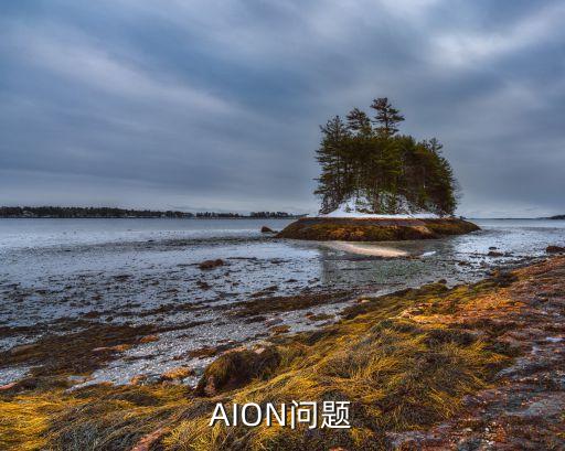 AION问题