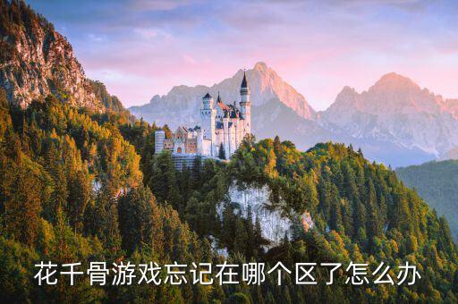 花千骨手游怎么找区，花千骨游戏忘记在哪个区了怎么办