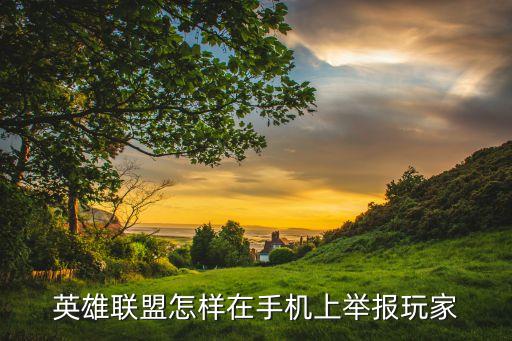 英雄联盟怎样在手机上举报玩家