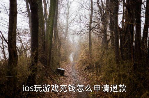 使命召唤手游退款怎么操作，ios玩游戏充钱怎么申请退款