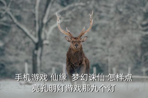 手机游戏 仙缘  梦幻诛仙 怎样点亮孔明灯游戏那九个灯