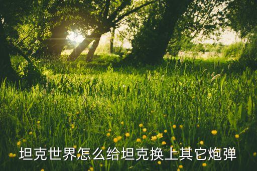 手游坦克世界怎么换弹，坦克世界怎么换上其它炮弹