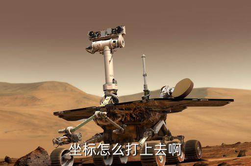 坐标怎么打上去啊