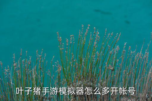 叶子猪手游模拟器怎么多开帐号
