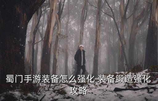 蜀门手游装备怎么强化 装备锻造强化攻略