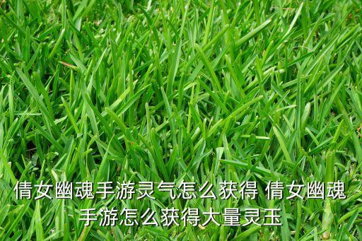 倩女幽魂手游灵气怎么获得 倩女幽魂手游怎么获得大量灵玉