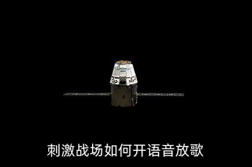 刺激战场如何开语音放歌