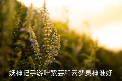 妖神记手游叶紫芸和云梦灵神谁好