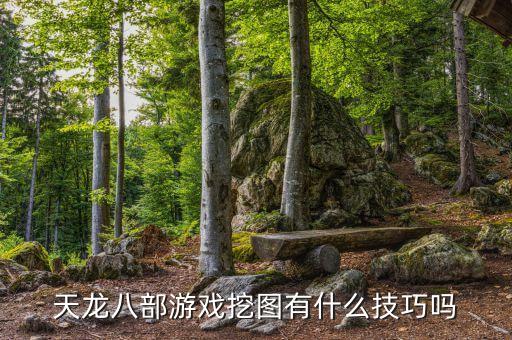 天龙八部游戏挖图有什么技巧吗