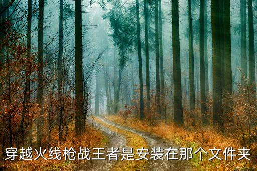 穿越火线枪战王者是安装在那个文件夹
