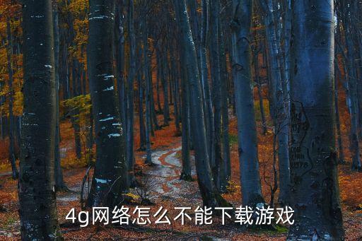 4g网络怎么不能下载游戏