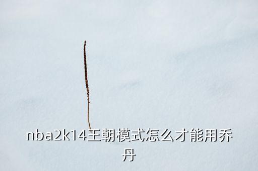 nba2k14王朝模式怎么才能用乔丹