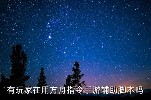 有玩家在用方舟指令手游辅助脚本吗