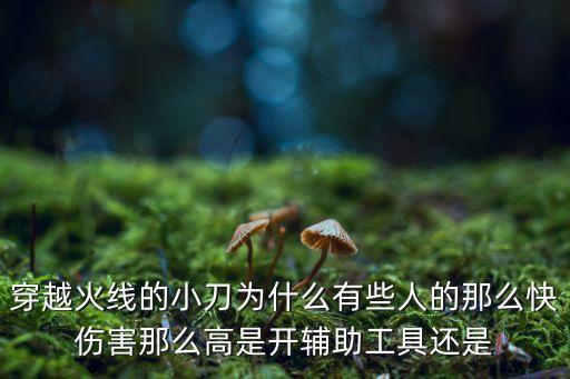 穿越火线的小刀为什么有些人的那么快伤害那么高是开辅助工具还是