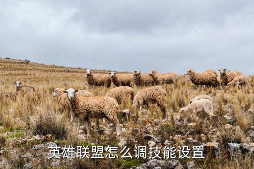 英雄联盟怎么调技能设置