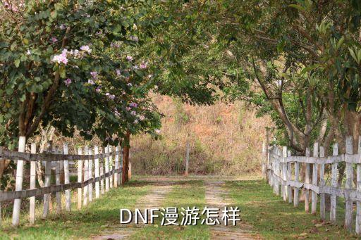 DNF漫游怎样