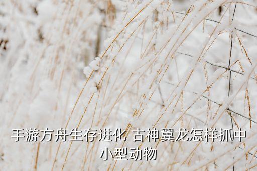 手游方舟生存进化 古神翼龙怎样抓中小型动物
