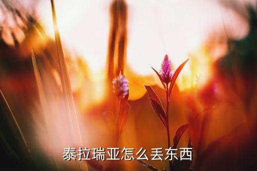 手游泰拉瑞亚怎么丢东西给队友，泰拉瑞亚怎么交换物品的位置