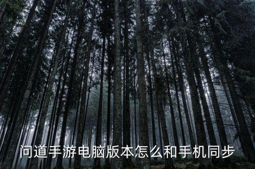 问道手游电脑版本怎么和手机同步