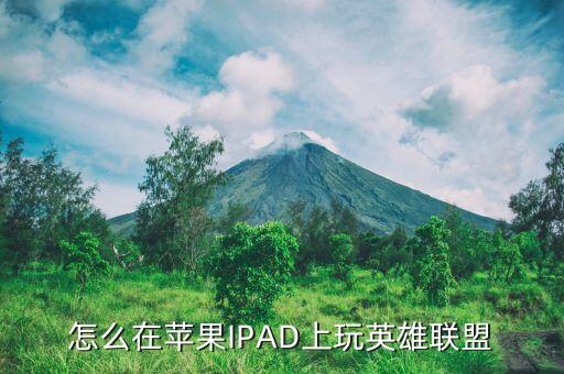 怎么在苹果IPAD上玩英雄联盟