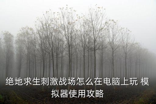 绝地求生刺激战场怎么在电脑上玩 模拟器使用攻略