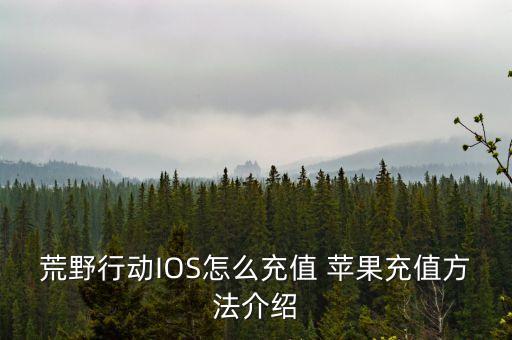 荒野行动IOS怎么充值 苹果充值方法介绍