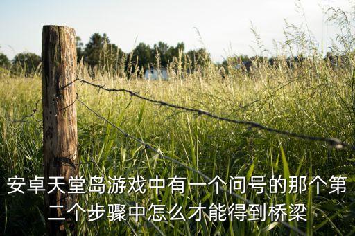 安卓天堂岛游戏中有一个问号的那个第二个步骤中怎么才能得到桥梁