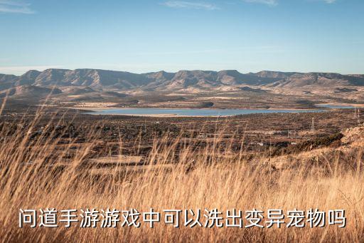 问道手游变异宠物怎么清洗，现在问道变异BB还能洗吗