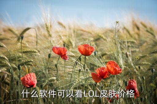 怎么查手游皮肤价格，什么软件可以看LOL皮肤价格