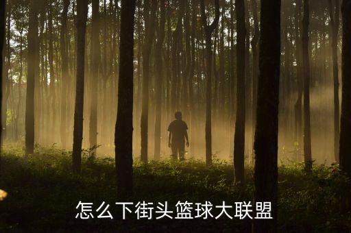 怎么下街头篮球大联盟