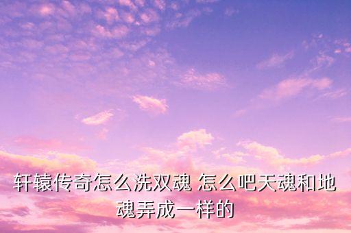 轩辕传奇怎么洗双魂 怎么吧天魂和地魂弄成一样的