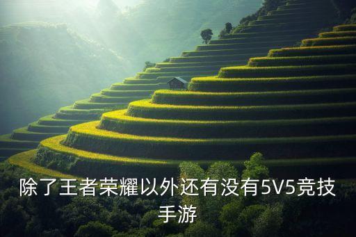 除了王者荣耀以外还有没有5V5竞技手游