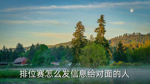 排位赛怎么发信息给对面的人