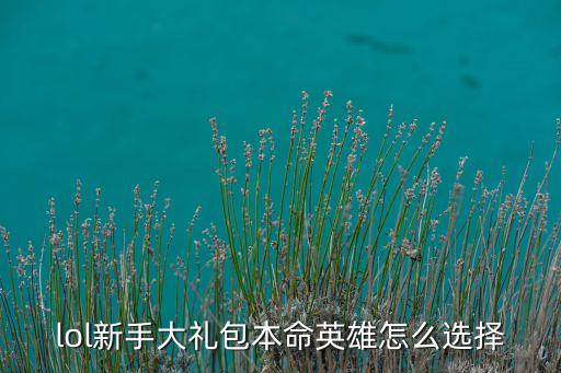 lol新手大礼包本命英雄怎么选择
