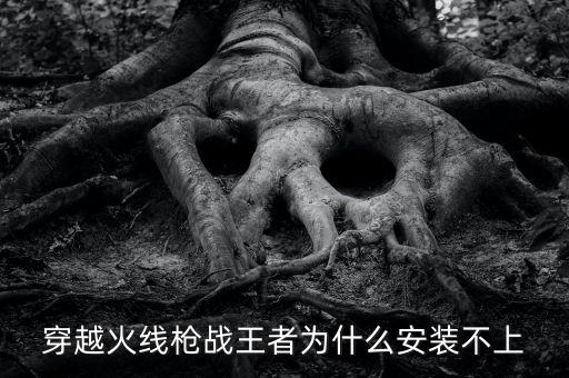 穿越火线枪战王者为什么安装不上