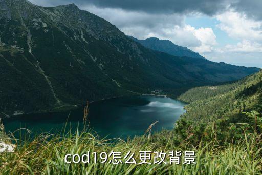 cod19怎么更改背景