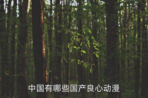 中国有哪些国产良心动漫