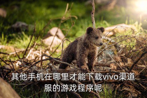 其他手机在哪里才能下载vivo渠道服的游戏程序呢