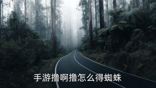 猫和老鼠手游蜘蛛怎么出来，如何引出蜘蛛