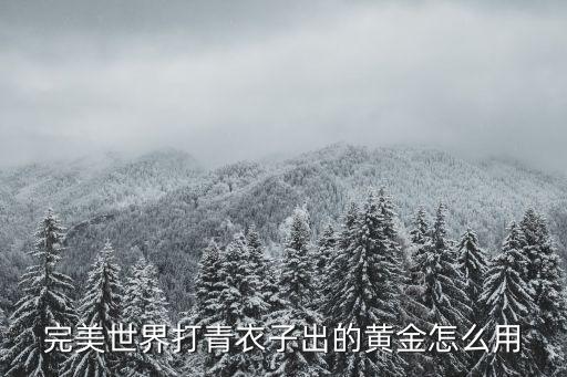 完美世界打青衣子出的黄金怎么用