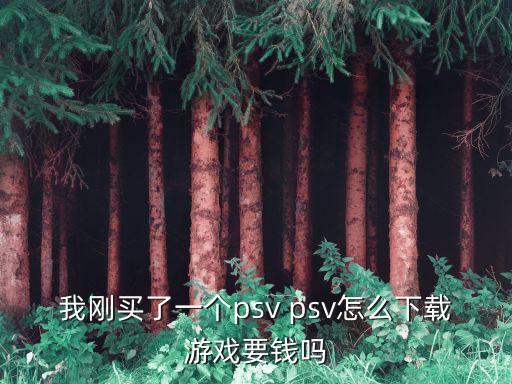 我刚买了一个psv psv怎么下载游戏要钱吗
