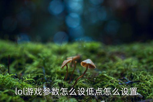 lol游戏参数怎么设低点怎么设置
