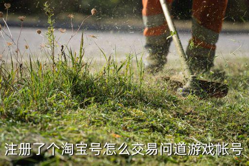 注册了个淘宝号怎么交易问道游戏帐号