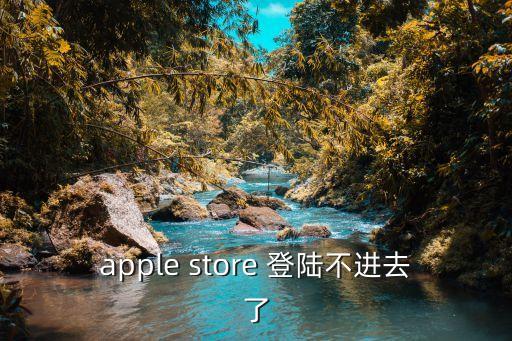 apple store 登陆不进去了