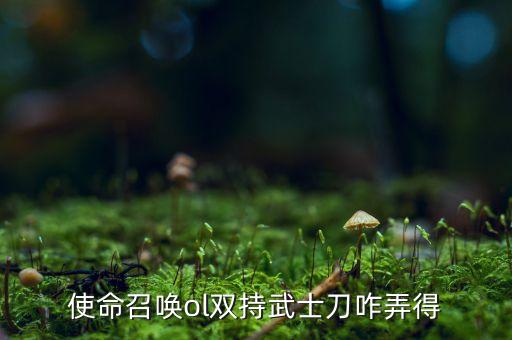 使命召唤ol双持武士刀咋弄得