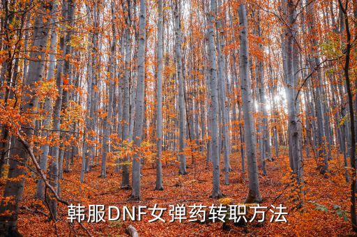 dnf手游韩服弹药怎么不能转，Dnf韩服女弹药转职