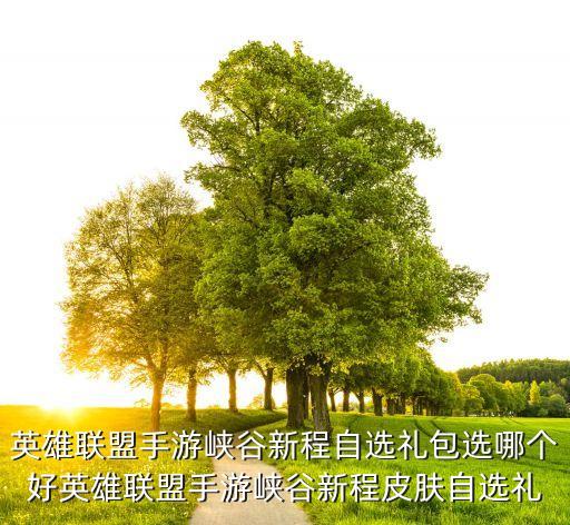 英雄联盟手游峡谷新程自选礼包选哪个好英雄联盟手游峡谷新程皮肤自选礼