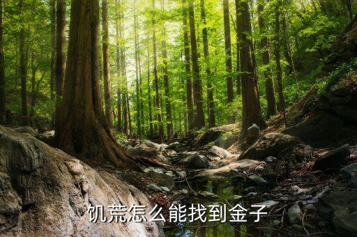 饥荒怎么能找到金子